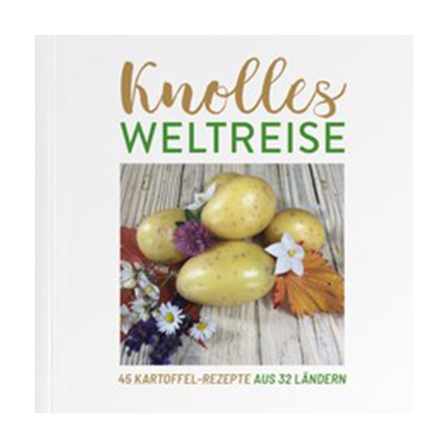 Mini-Kochbuch "Knolles Weltreise"